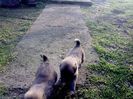IMG1182A