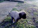 IMG1197AB B