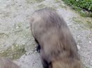 IMG1200A