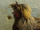 95206844_NFOSUTJ
