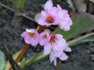 DSCN2539