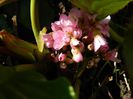 DSCN2615 26,27 februarie