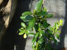 DSCN2619