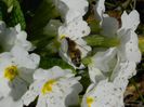 DSCN2637