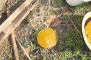 Copy of DSC05740
