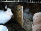 IMG_20140228_113157