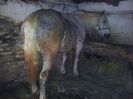 20140227_171431