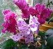 20140228_125359