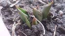 20140228_140309