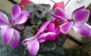 20140301_153850