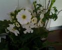 20140301_151845