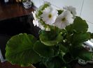 20140301_152404