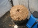DSCN1672