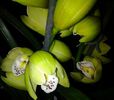 20140301_233413