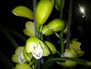 20140301_233423