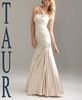 endlessDirection - taur