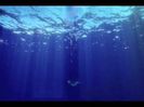 images (6)