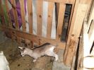 SAM_1171