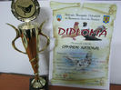 Lugoj 2013