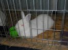 DSCN4458_174