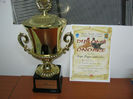 Organizator 2012