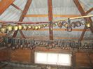 IMG_1879