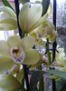 20140303_103634