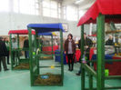 95865067_OYZUHYE3