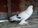 IMG_20140303_132352