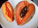 pouteria-sapota
