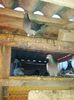 IMG_20140228_174249