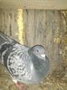 IMG_20140228_174434