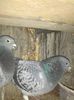 IMG_20140228_174456
