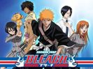 Bleach-300x225