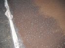DSCN1697