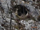 DSC00702