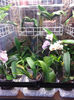 20140302_125058