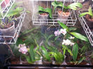 20140302_140949