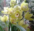 20140304_150333