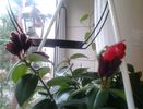 20140304_150428