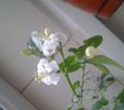 20140304_150254