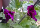 20140304_150034