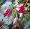20140304_150246