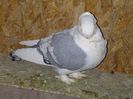 IMG-20140304-00120