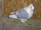 IMG-20140304-00122