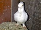 IMG-20140304-00123