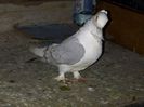 IMG-20140304-00125