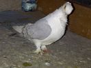 IMG-20140304-00126