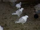 IMG-20140304-00142
