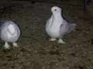 IMG-20140304-00144